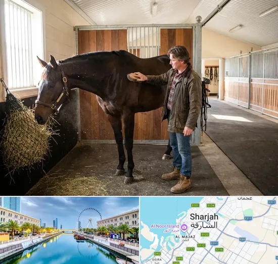 Horse Boarding in Sharjah