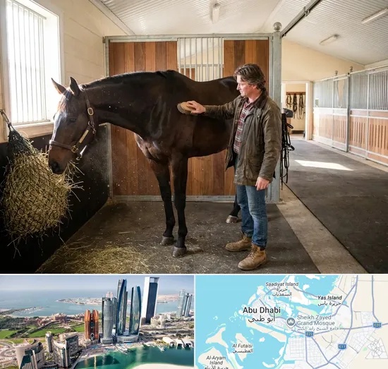 Horse Boarding in Abu Dhabi