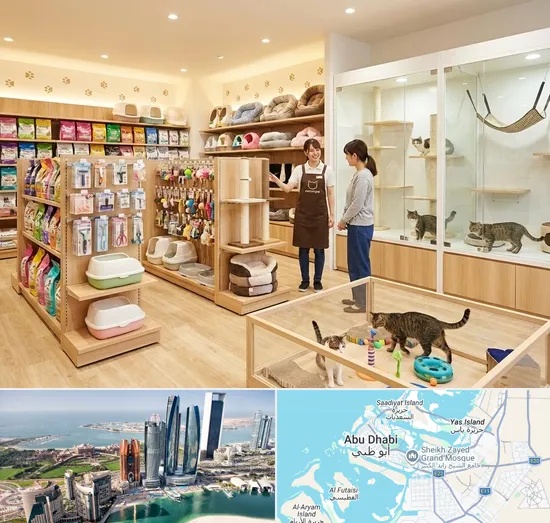 Cat Shop in Abu Dhabi