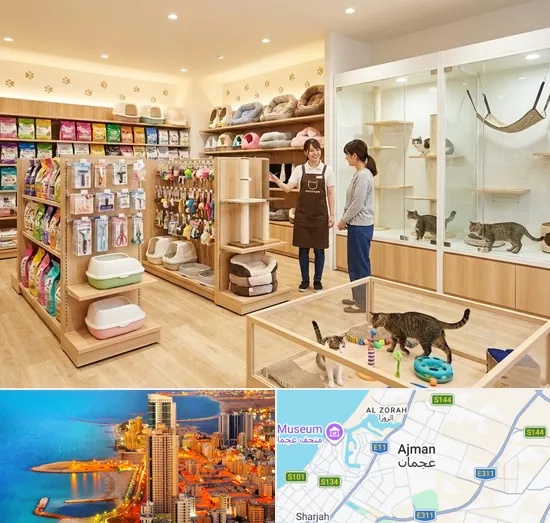 Cat Shop in Ajman