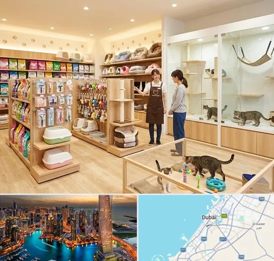 Cat Shop in Dubai