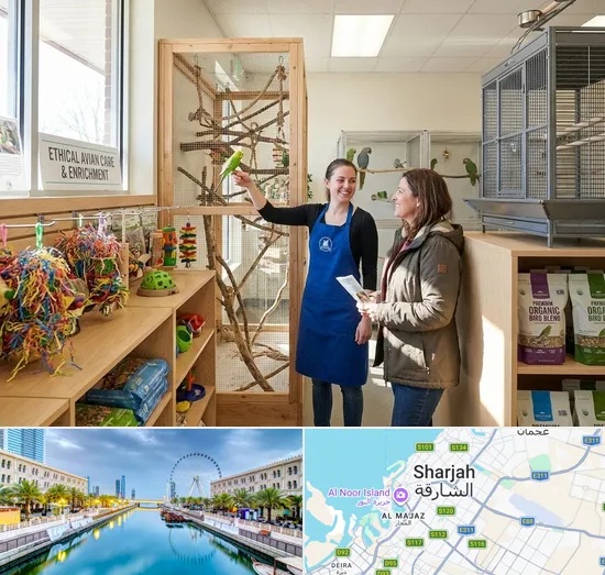 Bird Shop in Sharjah