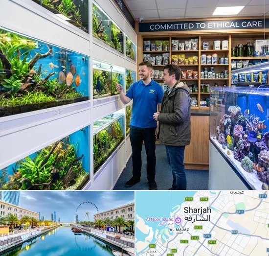 Fish & Aquarium Shop in Sharjah