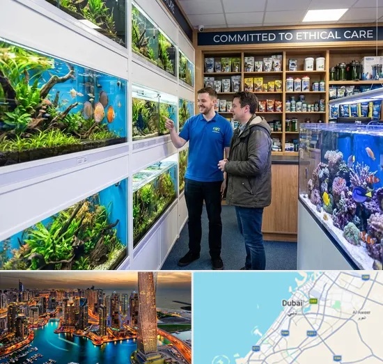 Fish & Aquarium Shop in Dubai