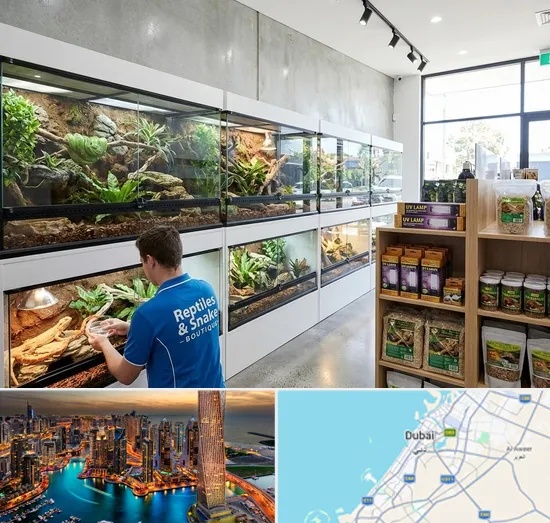 Reptile & Snake Shop in Dubai