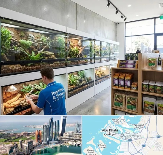 Reptile & Snake Shop in Abu Dhabi