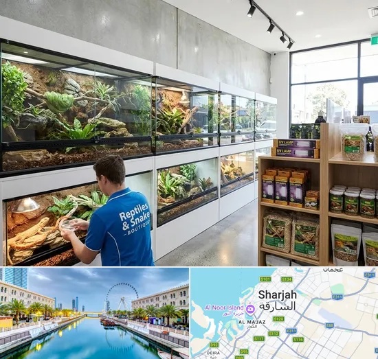 Reptile & Snake Shop in Sharjah