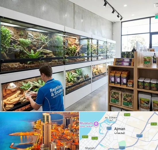 Reptile & Snake Shop in Ajman