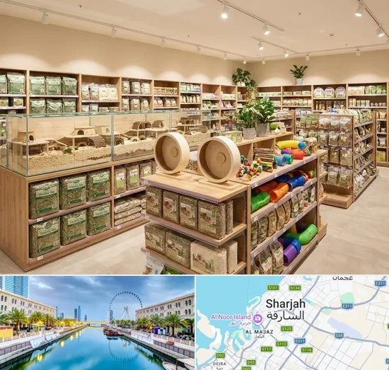 Hamster Shop in Sharjah