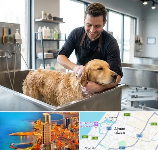 Pet Grooming in Ajman