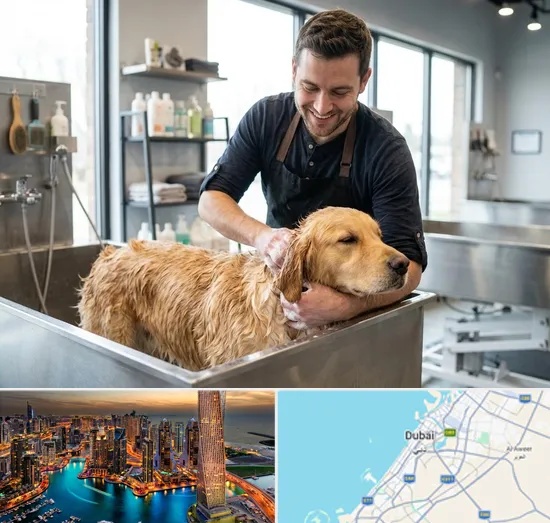 Pet Grooming in Dubai