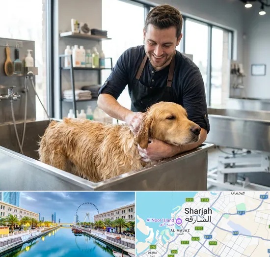 Pet Grooming in Sharjah