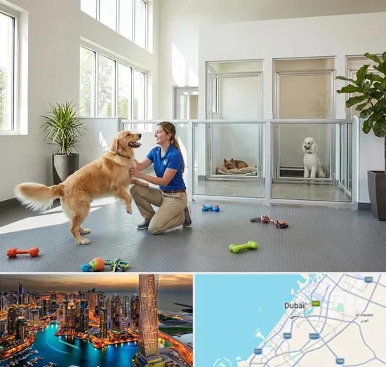 Pet Boarding in Dubai