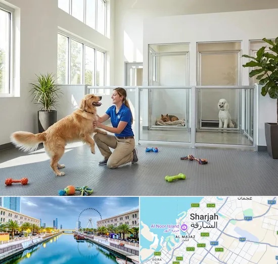 Pet Boarding in Sharjah