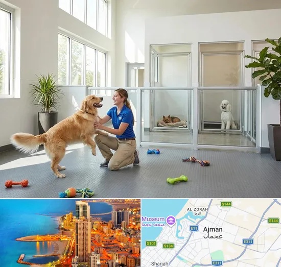 Pet Boarding in Ajman
