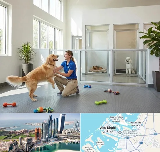 Pet Boarding in Abu Dhabi