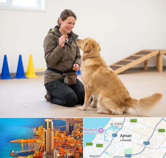 Pet Training in Ajman