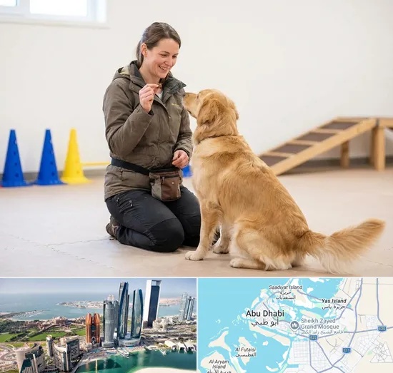 Pet Training in Abu Dhabi