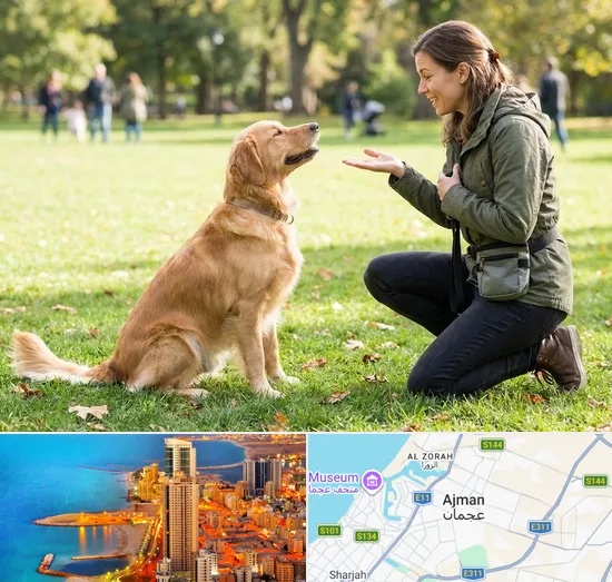 Dog Training in Ajman