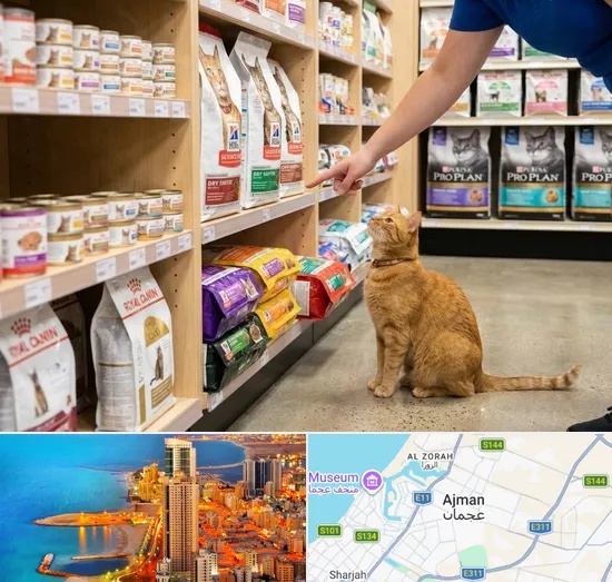 Cat Food in Ajman