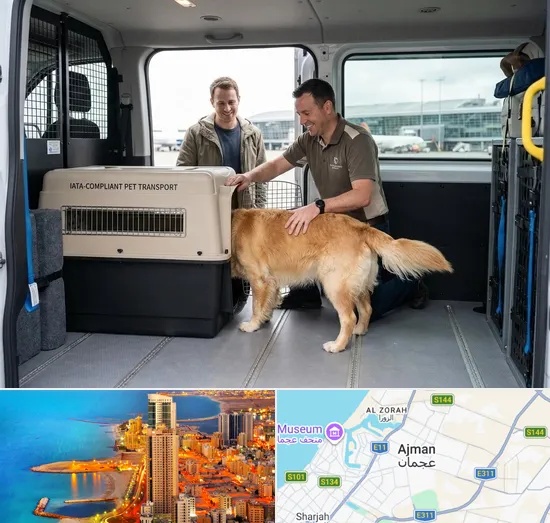 Pet Relocation Service in Ajman