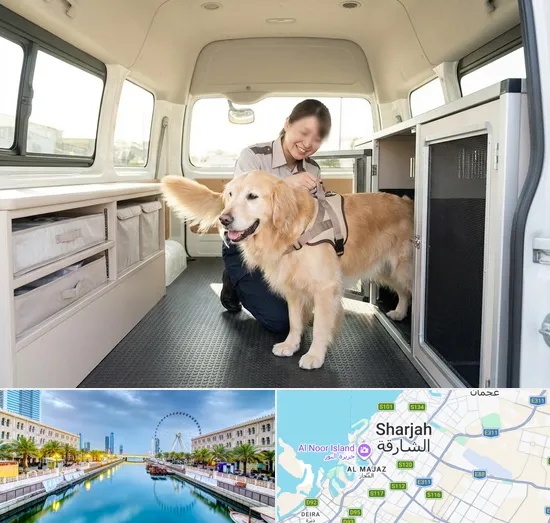 Pet Taxi in Sharjah
