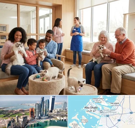 Buy Cat in Abu Dhabi