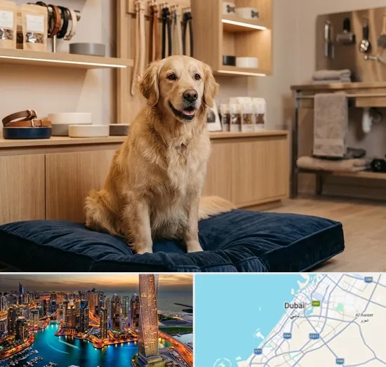 Premium & Luxury Pet Shop in Dubai