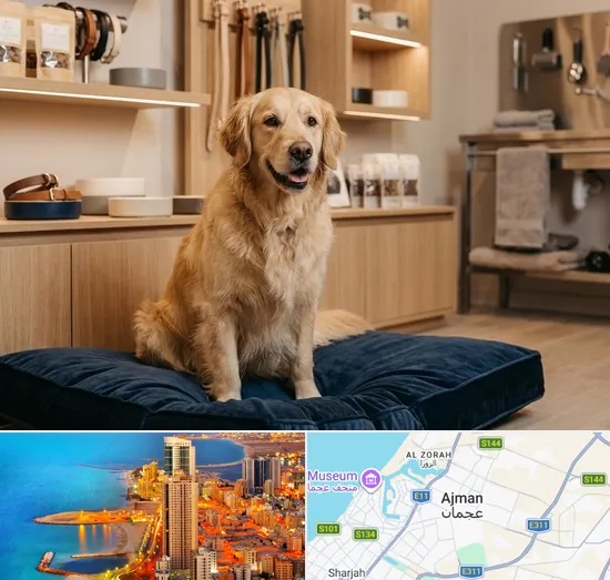 Premium & Luxury Pet Shop in Ajman