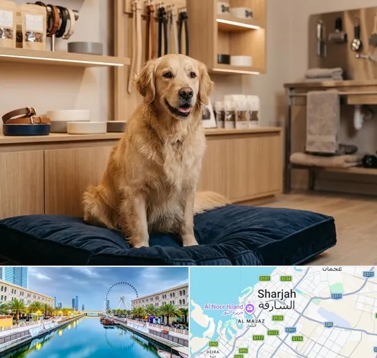 Premium & Luxury Pet Shop in Sharjah