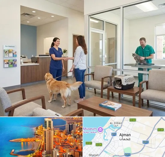 Veterinary Hospital in Ajman