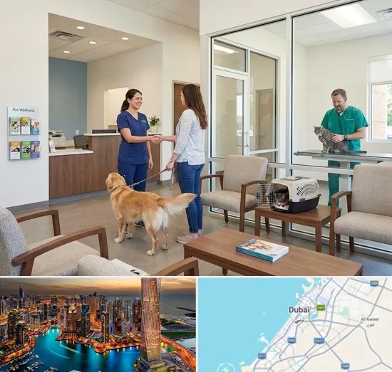 Veterinary Hospital in Dubai