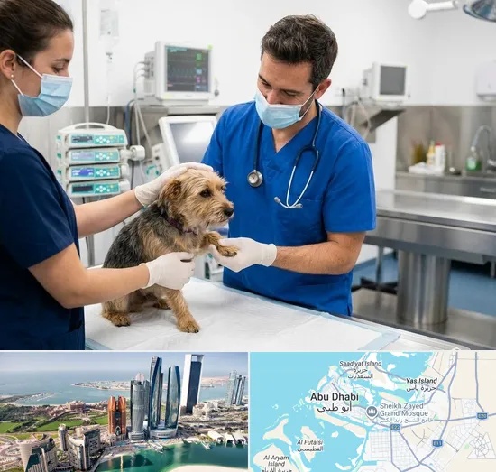 Emergency Veterinary in Abu Dhabi