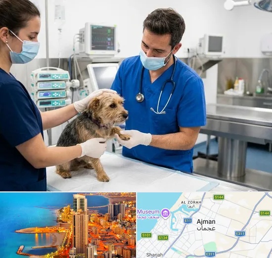Emergency Veterinary in Ajman