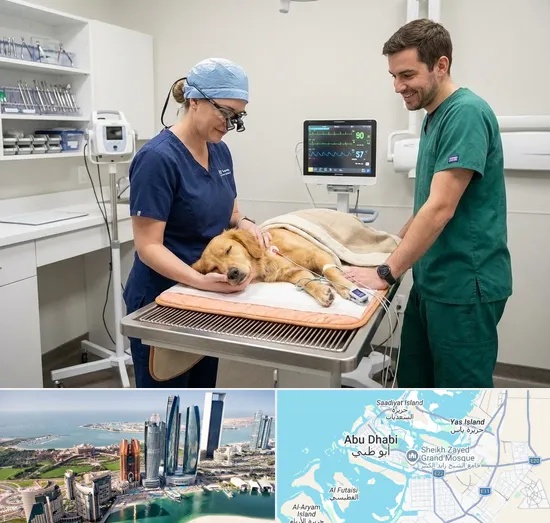 Pet Dental Care in Abu Dhabi