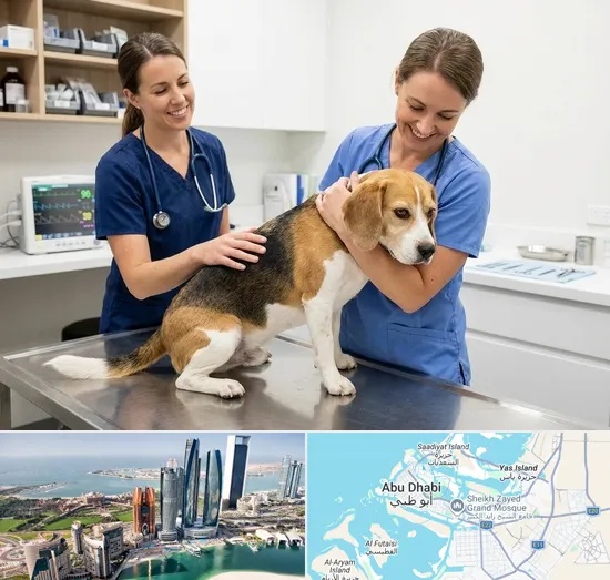 Spay & Neuter in Abu Dhabi