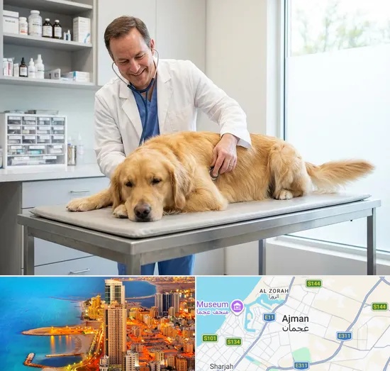Dog Veterinary in Ajman