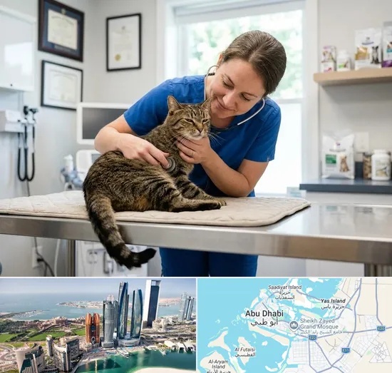 Cat Veterinary in Abu Dhabi