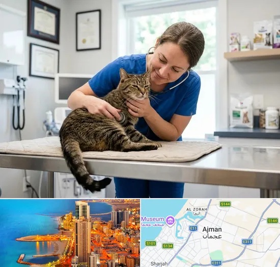 Cat Veterinary in Ajman