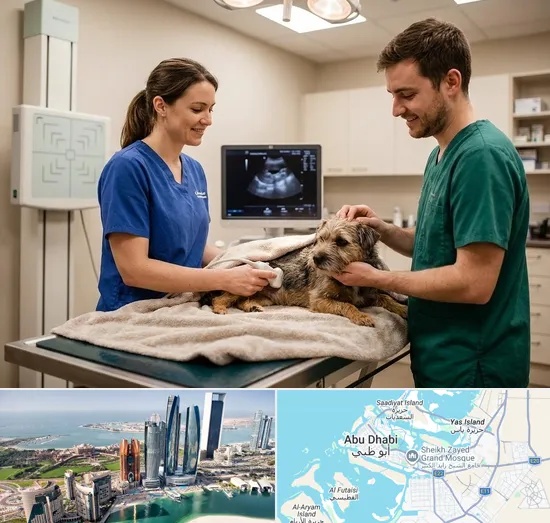 Pet X-ray & Ultrasound in Abu Dhabi