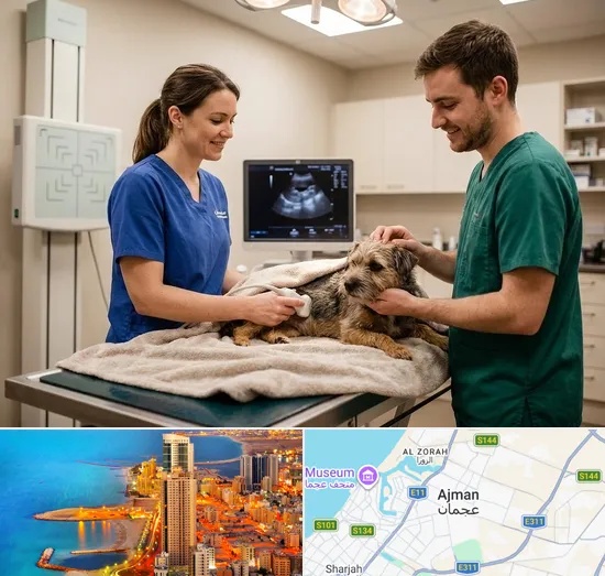 Pet X-ray & Ultrasound in Ajman