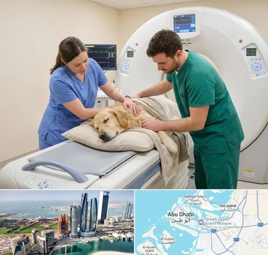 Pet CT Scan in Abu Dhabi