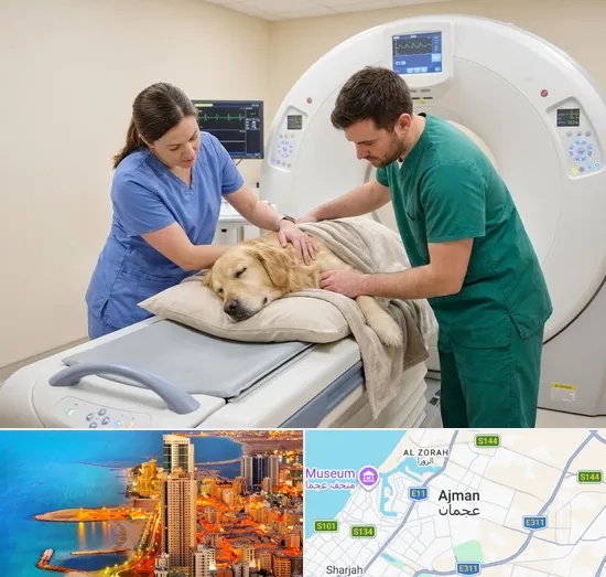 Pet CT Scan in Ajman
