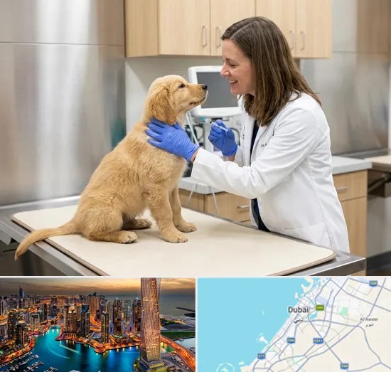 Pet Vaccination in Dubai