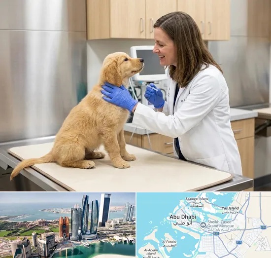 Pet Vaccination in Abu Dhabi