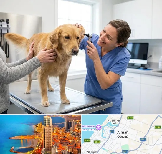 Pet Checkup in Ajman