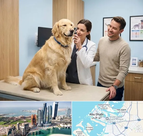 Veterinary Consultation in Abu Dhabi
