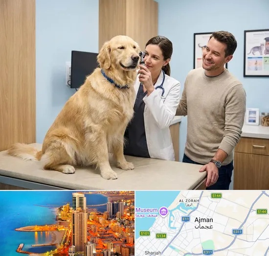 Veterinary Consultation in Ajman