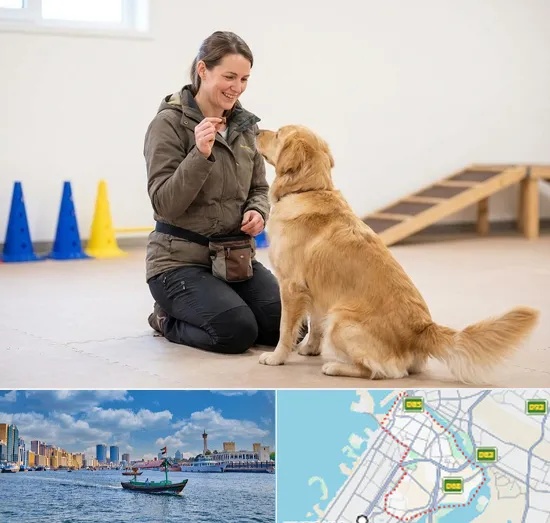 Pet Training in Bur Dubai