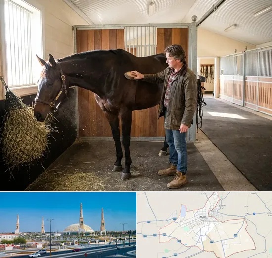 Horse Boarding in Al Ain